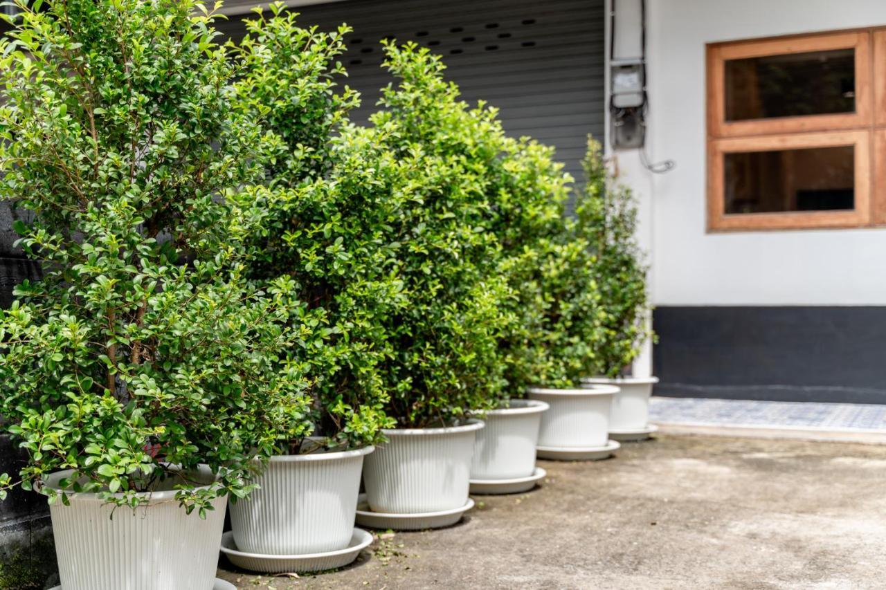 Socialer Coliving & Coworking Space Chiang Mai Luaran gambar